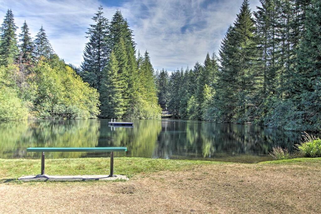 New Modern Cabin! 5Mi To Mt Rainier National Park! Hot Tub & Wifi Эшфорд Экстерьер фото